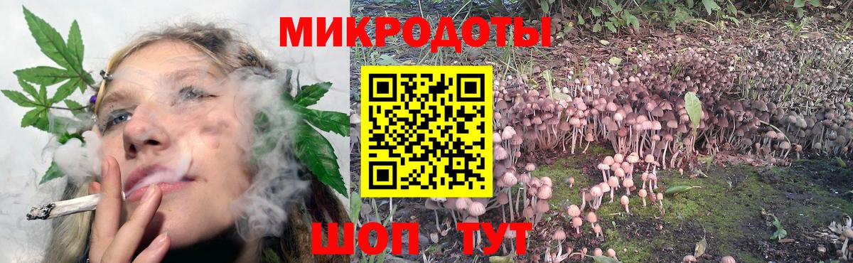 Галлюциногенные грибы Psilocybine cubensis  что такое   Белгород  Вход с VPN 